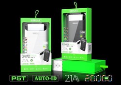 P-5T PowerBank e1EHoSxMgawYHB2N0KOqo0 - фото 10296