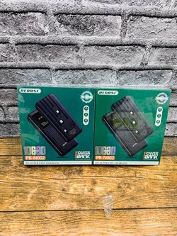 PB-N002 POWER BANK 999suxBVgb6iCQR4e9sJZ1 - фото 10816