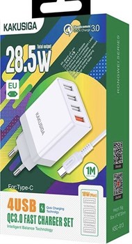 KSC-913 сетевое зарядное устройство TC rGwp061NhIWc3-cKoUCQF0 - фото 8285