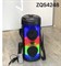 ZQS 4248 Портативная колонка 2AqxQVlAg4S9DkORYLzDJ3